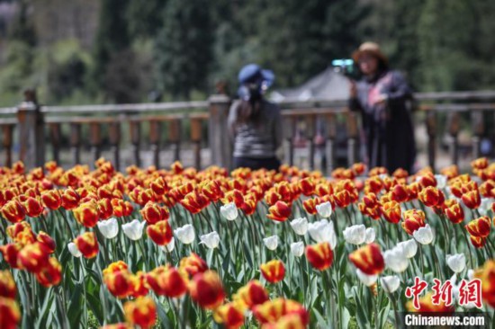 贵州龙里天气晴好游客走进公园乐享周末时光