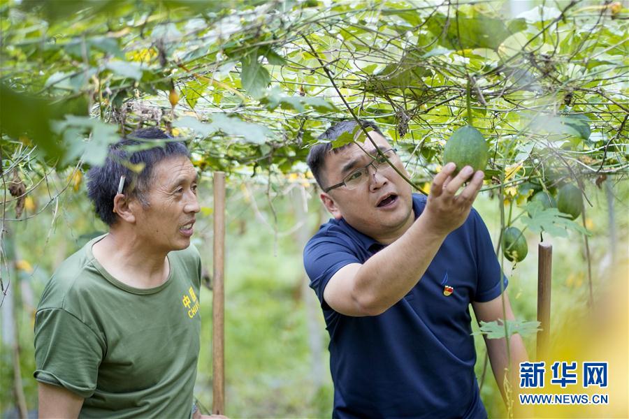 （脱贫攻坚·图片故事）（6）啃下“硬骨头” 奋斗不停歇