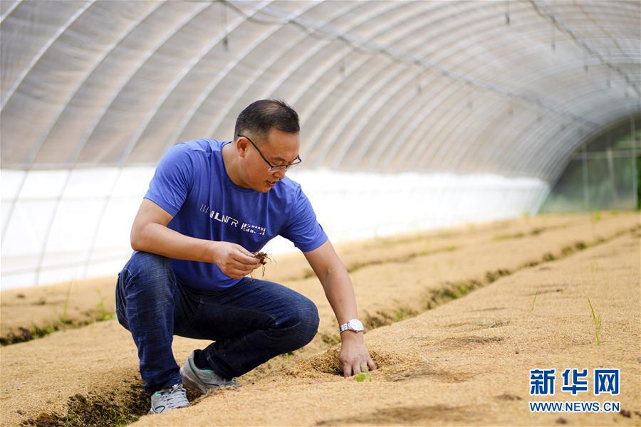 （脱贫攻坚·图片故事）（8）啃下“硬骨头” 奋斗不停歇