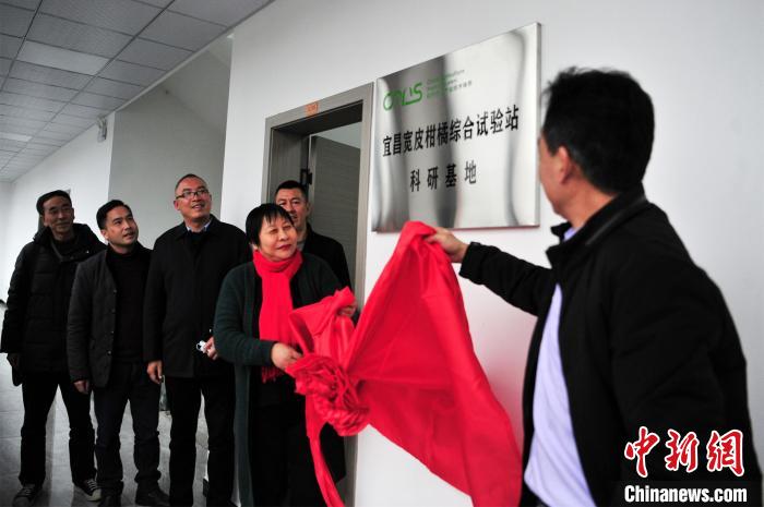 王恩珍:铺就“橙色”致富路