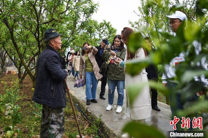 图为参访团采访当地民众。 何蓬磊 摄