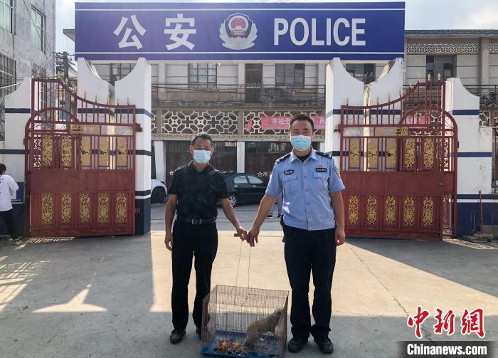 图为民警与民众共同救助蜂猴。　德宏边境管理支队供图