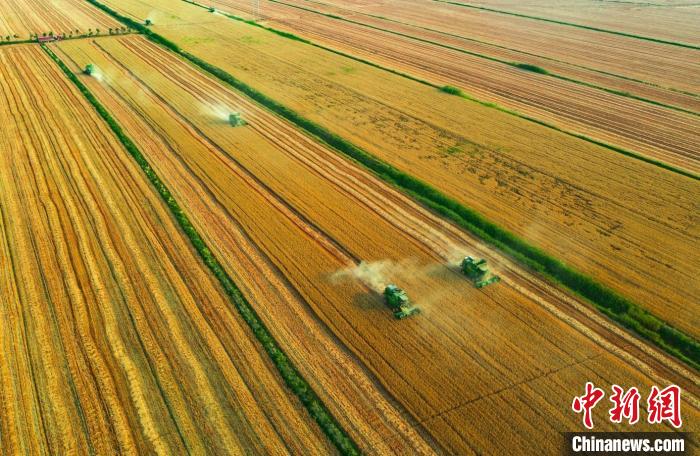 安徽蚌埠：农业科技化增产提效改写“农耕方式”