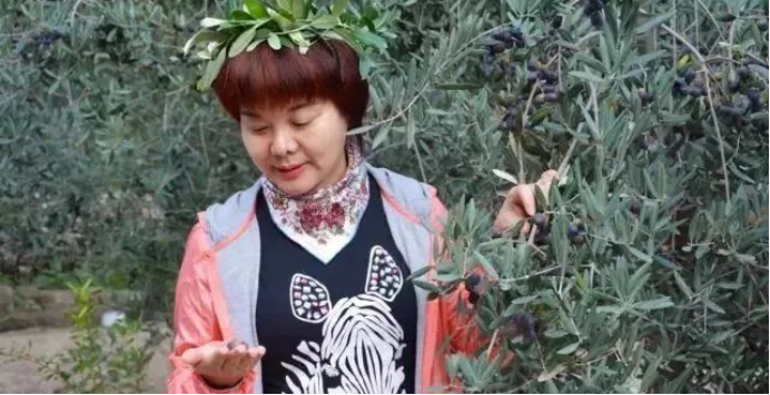 1d337b3169f1537630a0b6caa3c90296