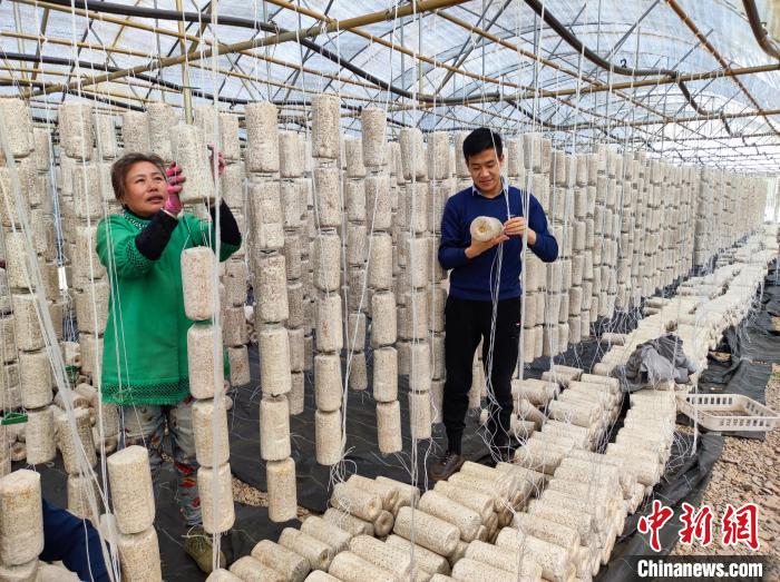 图为李博与村民一起种植黑木耳。　金浩 摄